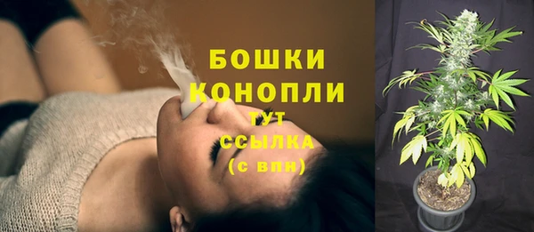 дживик Белоозёрский