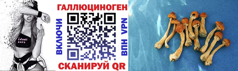 где можно купить   Луховицы  Псилоцибиновые грибы прущие грибы 