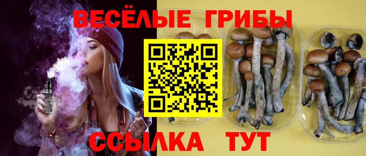 Псилоцибиновые грибы Cubensis  Вход с VPN  Луховицы 