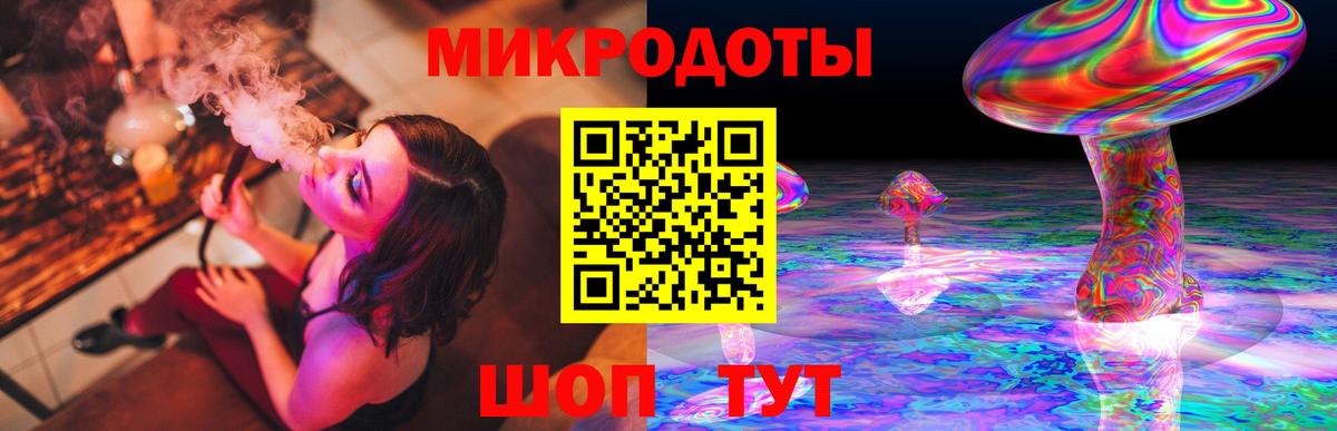 Псилоцибиновые грибы Psilocybe Луховицы